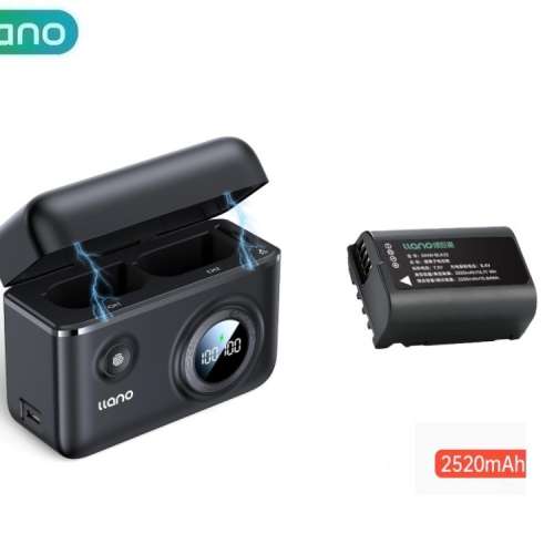LLANO DMW-BLK22 Lithium-Ion Battery Pack With Fast Dual Camera Battery Charger