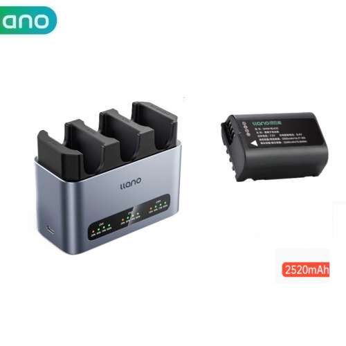 LLANO Panasonic DMW-BLK22 Lithium-ion Battery With Three-Bay Charger (2520mAh)