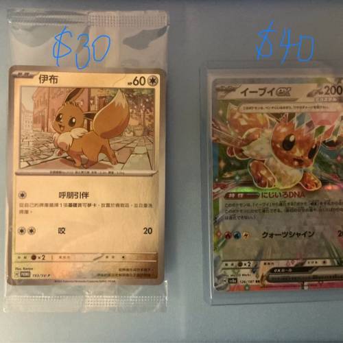 Pokemon 伊貝卡
