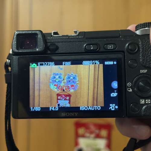 Sony 無反相機 NEX 6
