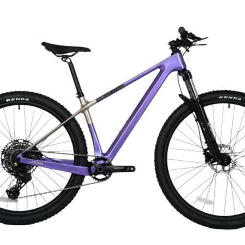 2025 新款 JAVA CIMA 13速 油剎桶軸碳纖維山地車 送水架前後蛙燈叮叮