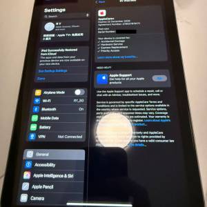 Apple iPad Mini 7 256G Cellular