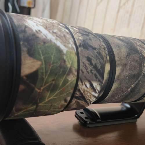 Nikon AF-S 200-400mm F4G II