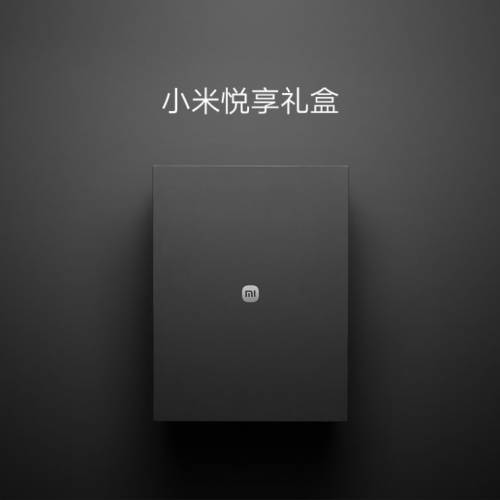 小米悅享禮盒（包含純鈦Ti保溫杯500mL、純鈦Ti馬克杯200mL、 拉鏈筆記本）（全新未...