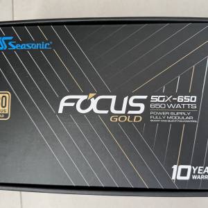 有單齊配件 10年保 SFX Seasonic FOCUS SGX650 650W 80Plus Gold 金牌 全模組 火牛