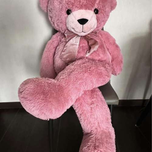 全新熊🐻