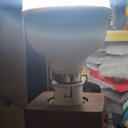 全球適用Wellmax 20w B22 led 白光燈膽