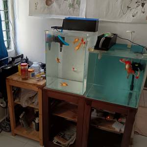 金鱼+鱼缸+木架
