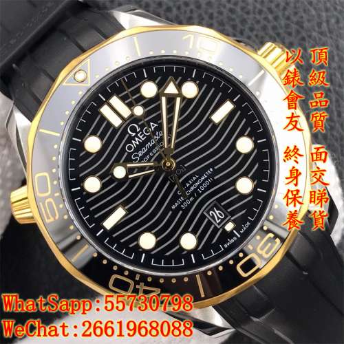 Omega 海馬系列 210.22.42.20.01.001 42mm