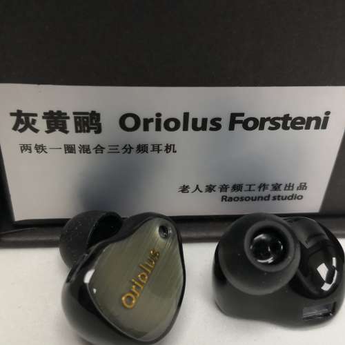 Oriolus 灰黃鸝