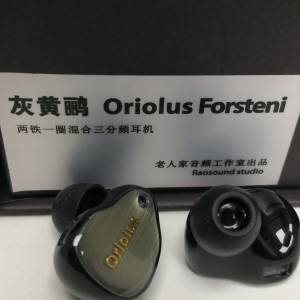 Oriolus 灰黃鸝