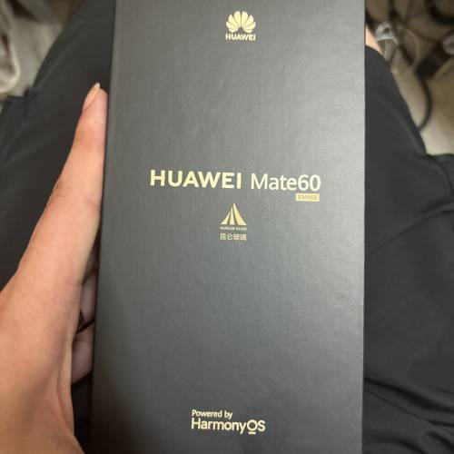 國行 mate 60 12+512（留意內文）不議