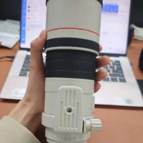 Canon EF300mm f4L IS USM