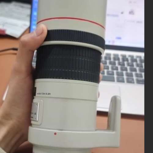 Canon EF300mm f4L IS USM