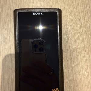 Sony 黑磚2