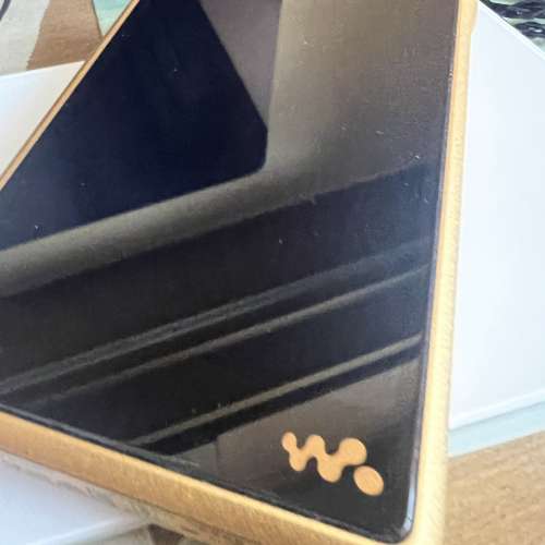 Sony WM1ZM2 金磚2