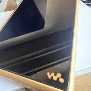 Sony WM1ZM2 金磚2