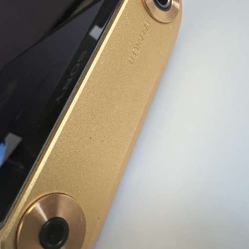 Sony WM1ZM2 金磚2