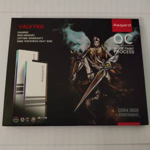 ASGARD VALKYRIE RGB 32GB 3600MHZ DDR4 RAM 16GB X2
