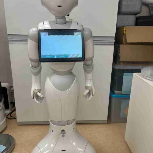 Used Softbank Pepper and Nao, Ubtech Cruzr, Temi, Keenon W3