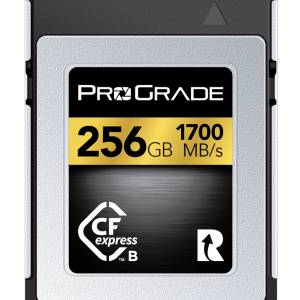 Prograde 256GB CFexpress 2.0 Type B Gold 記憶卡