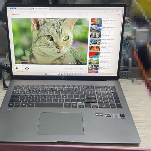 LG GRAM 17" 2K 輕薄型手提電腦，i7-1065G7，16GB，512GB，合文書，上網，功課