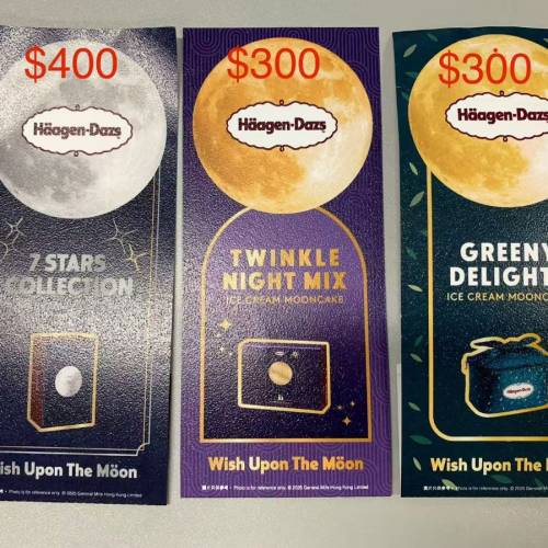 Haagen Dazs 哈根達斯雪糕月餅