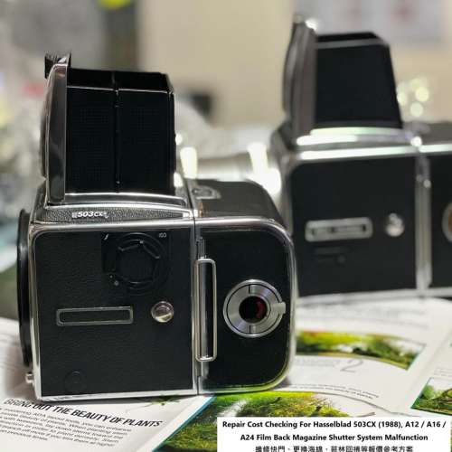 Repair Cost Checking For Hasselblad 503CX (1988)  維修快門、更換海綿、菲林回捲...