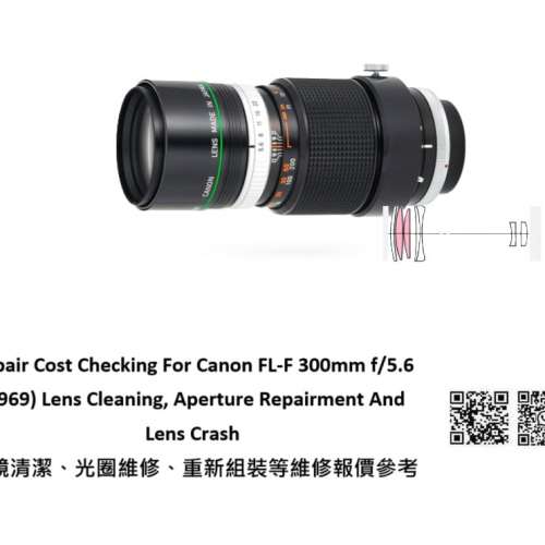 Repair Cost Checking For Canon FL-F 300mm f/5.6 (1969) Lens Cleaning