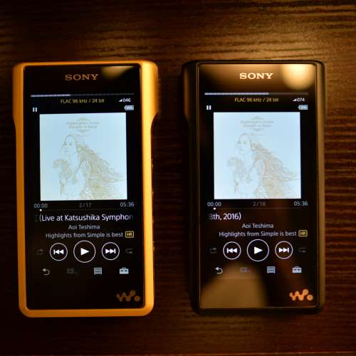 Sony WM1A 黑磚