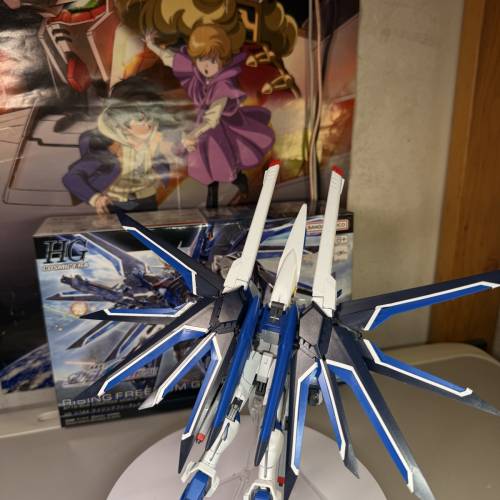 HG CE 1:144 機動戰土高達 特種計劃劇場版 Seed Freedom 飛昇自由高達 已砌 素組 高...