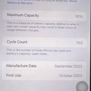 iphone pro max 鈦原色  256gb