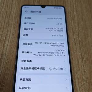 Mate 20x
