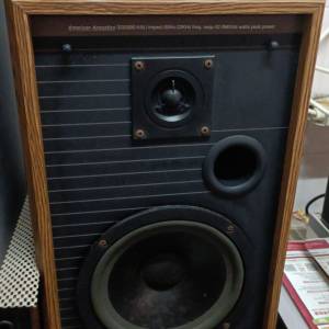 American Acoustics speakers，整體企理吾太殘，有歲月底部爆邊，其中一隻頂有崩，...