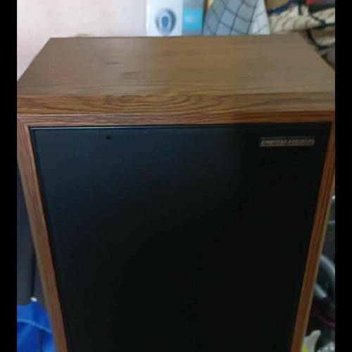 American Acoustics speakers，整體企理吾太殘，有歲月底部爆邊，其中一隻頂有崩，...