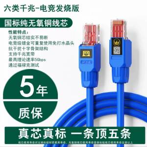 全新 Cat 6 手工製作 Lan Cable 1M