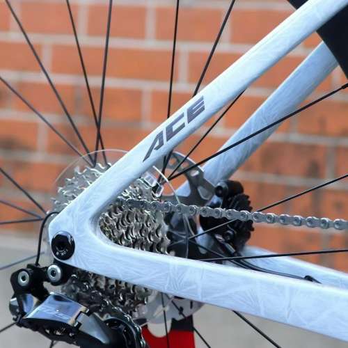 2025 冰裂灰紅色 CAMP 坎普 ACE 7000PRO 電變24速 桶軸油剎碳纖維公路車 送水架前後...