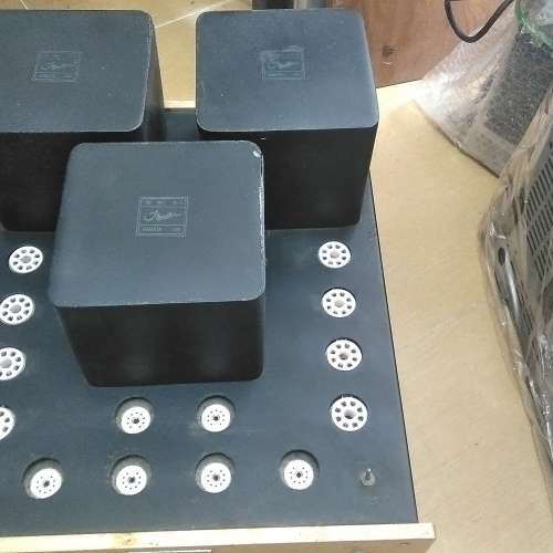 Houston胆樱輸出牛，電牛3隻