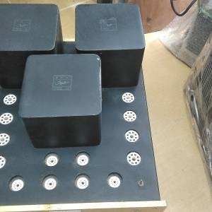 Houston胆樱輸出牛，電牛3隻