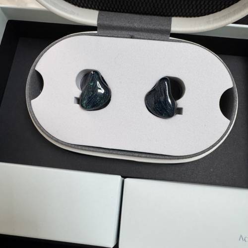 BGVP 龍雀 一圈四鐵圈鐵混合入耳式耳機