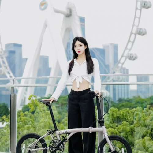 2025 新款 JAVA NEO 9速 碟剎349鋁合金折叠車 （三折叠小布 國布 ）送前後蛙燈叮叮
