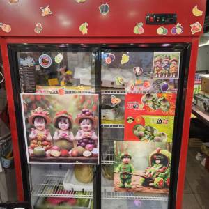 兩門風冷櫃