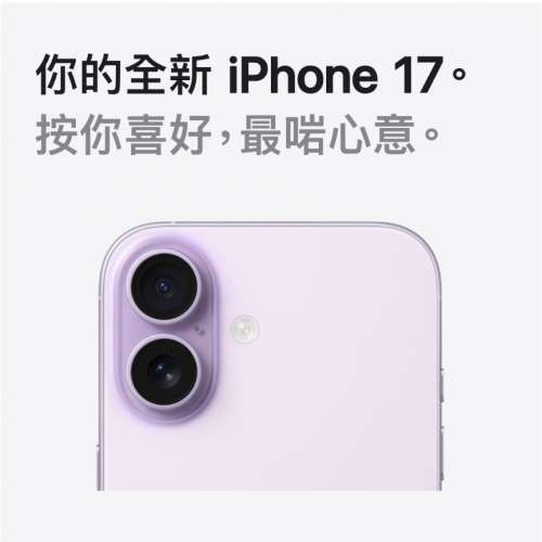 iPhone 17 紫