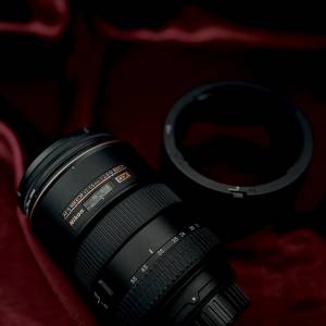 Nikon AF-S DX Zoom-Nikkor 17-55mm f/2.8G IF-ED Lens