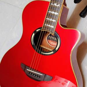 Yamaha APX500II RM