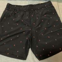 The north face TNF Class V Trunk Shorts 短褲