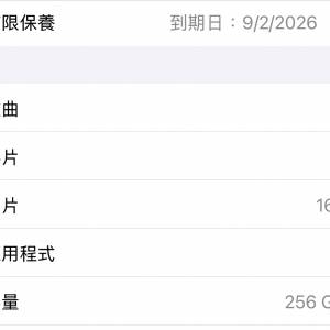 iPhone 16 pro 256 原色