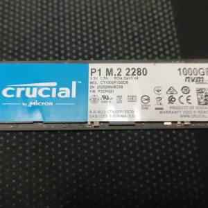 Crucial P1 M.2 2280 SSD 1TB (CT1000P1SSD8)