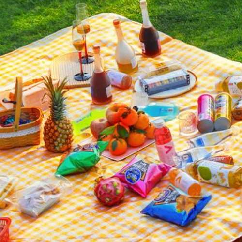 全新 黃色 野餐墊 Picnic Mat   可摺叠收藏 方便攜帶