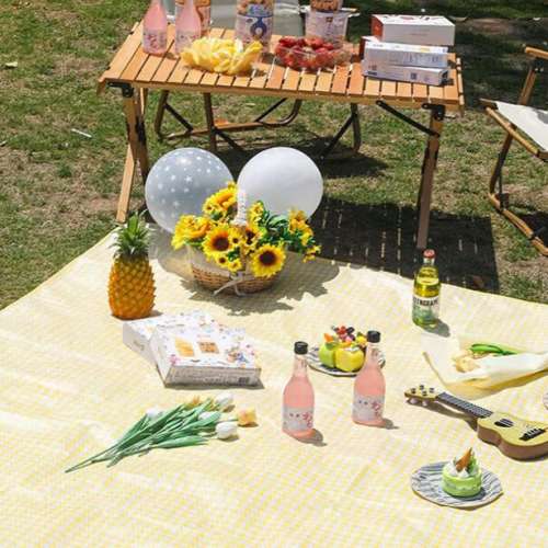 全新 黃色 野餐墊 Picnic Mat   可摺叠收藏 方便攜帶